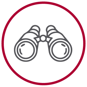 visin-icono-nosotros-figueroa-empalmados-01